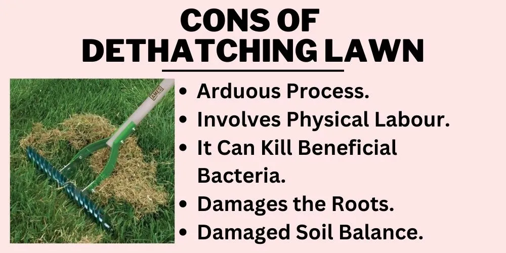 list of cons of dethatching lawn