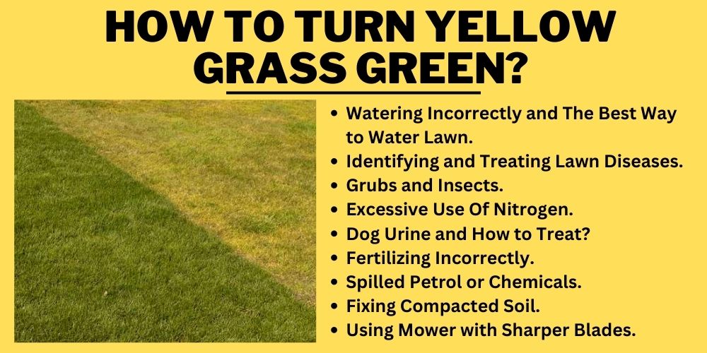 Turn Yellow Grass Green Following This Easy Tutorial