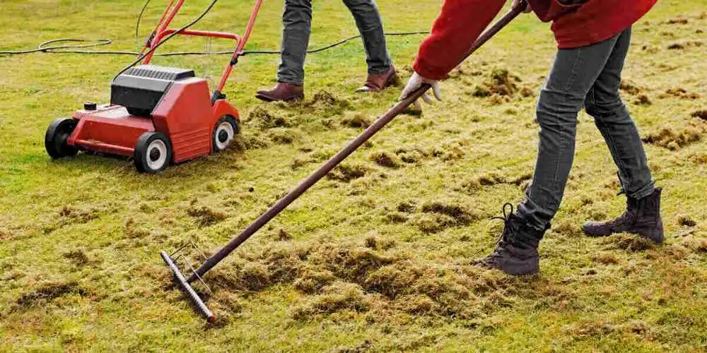 Is dethatching good or bad for your lawn