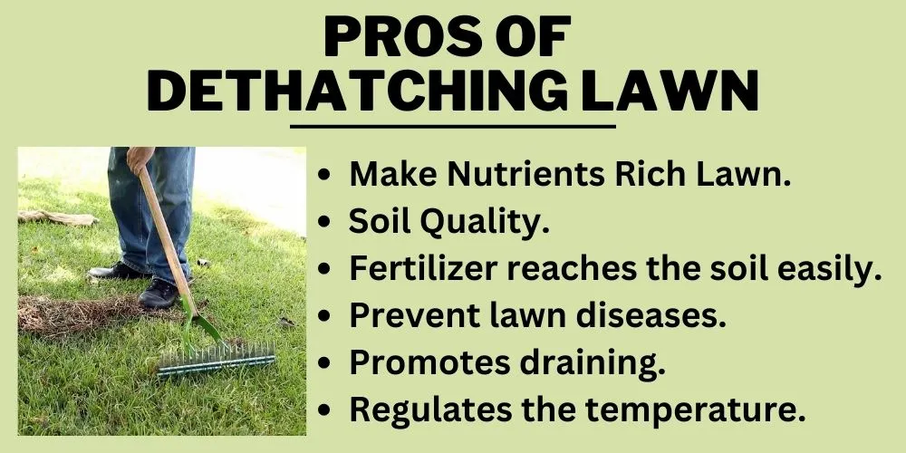List Of Pros of Dethatching Lawn