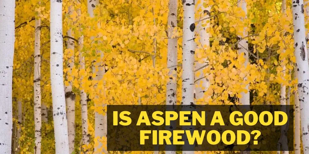 Is Aspen a good firewood? explained by expert