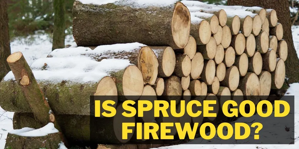 Is spruce good firewood? easy guide