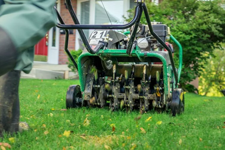 Aerate the Lawn