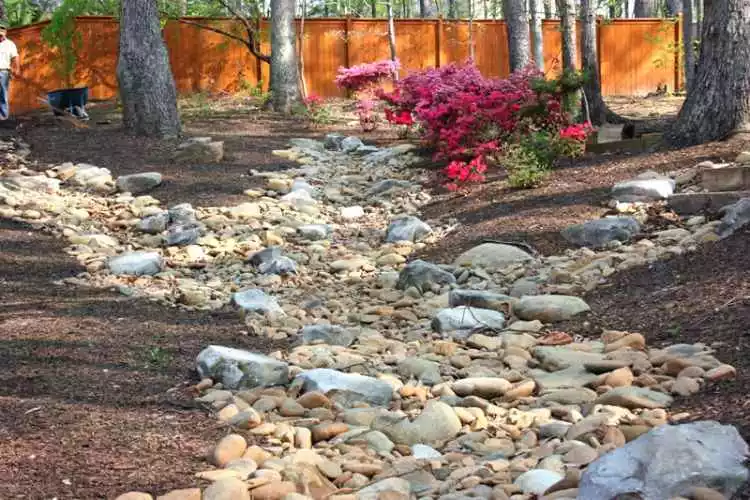 Create a Creek Bed and Plant rain gardens
