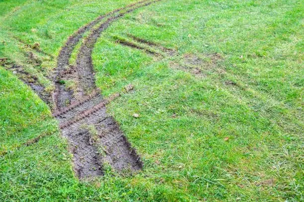 How do you fix grass that has been driven on