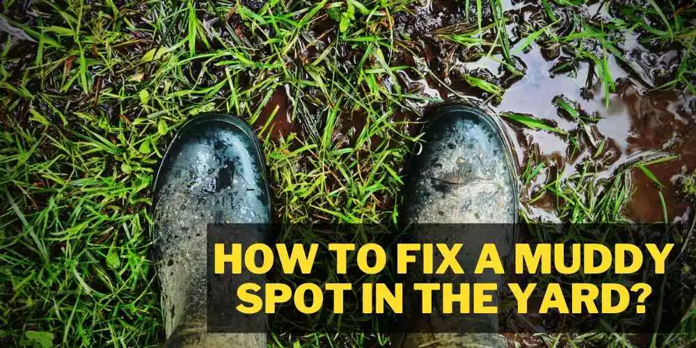 How to fix a muddy spot in the yard