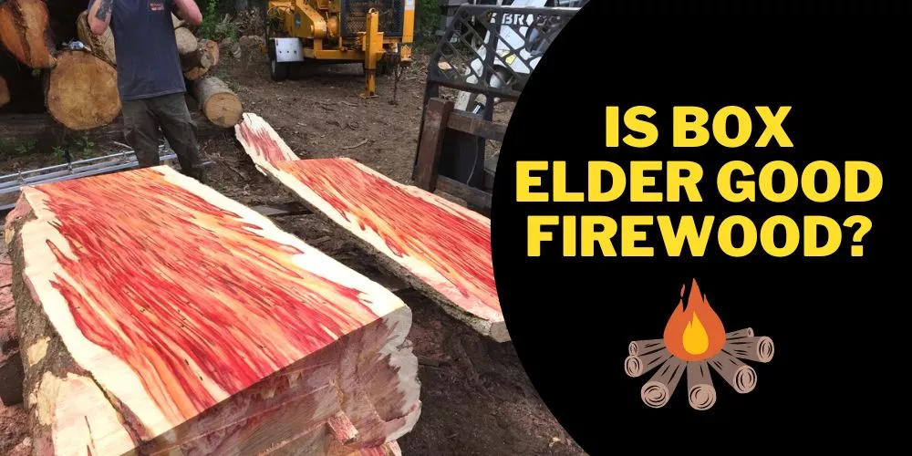 Is Box Elder Good Firewood (detail explain)