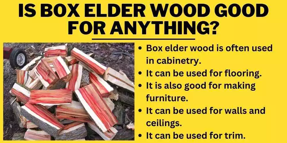 Is box elder wood good for anything