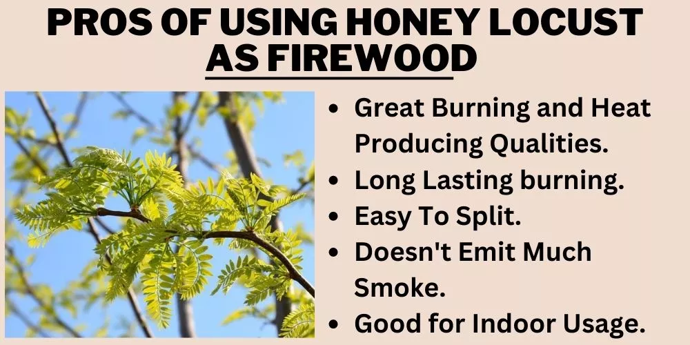 Pros of using honey locust as firewood 