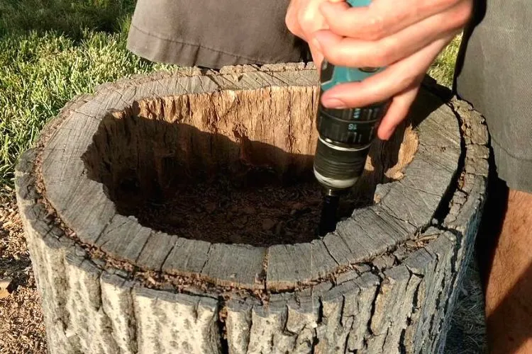 How to Hollow Out a Tree Stump (step by step guide)