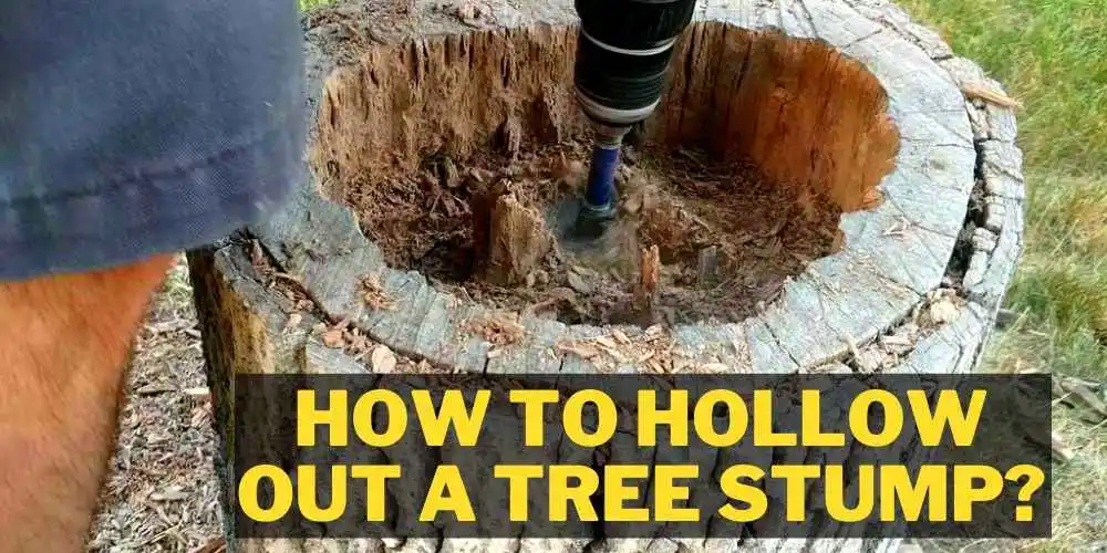 How to Hollow Out a Tree Stump?
