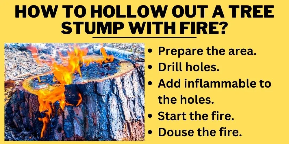 How to hollow out a tree stump with fire