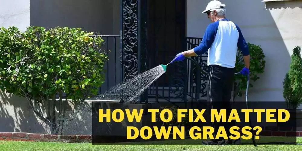 How to fix matted down grass