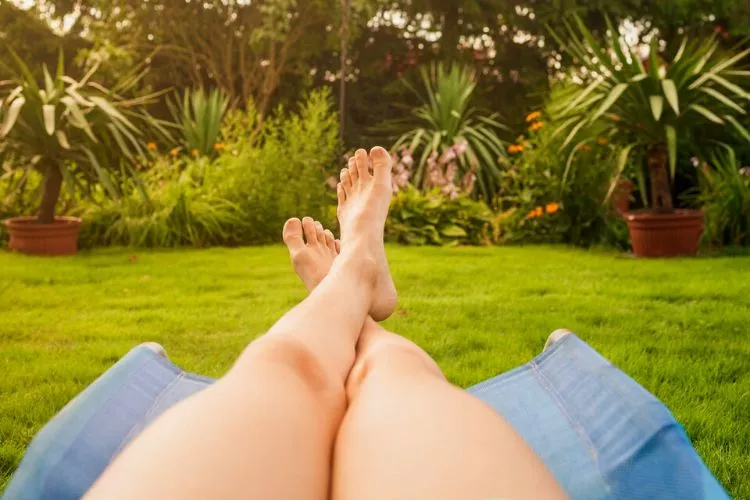 Is it legal to sunbathe in your backyard? All you need to know