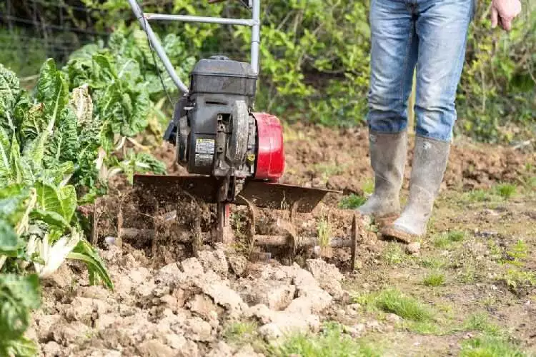 how to use a tiller to remove weeds? step by step guide