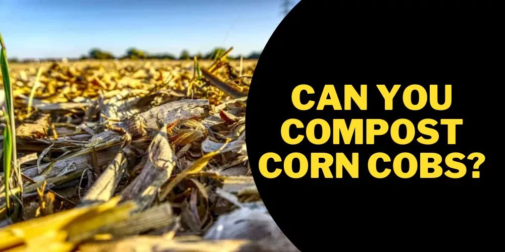 Can you compost corn cobs