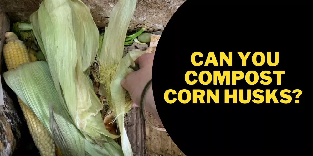 Can you compost corn husks