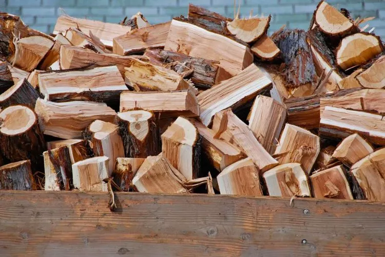 Characteristics of Juniper Firewood