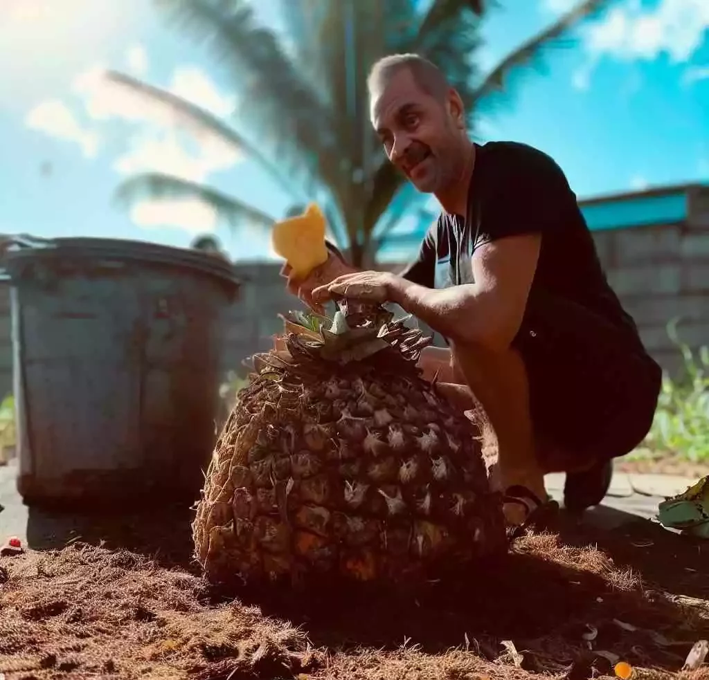 Is the whole pineapple compostable