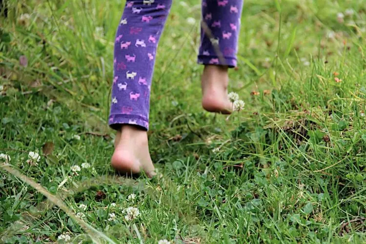 Does walking on grass seed kill it? All You Need To Know
