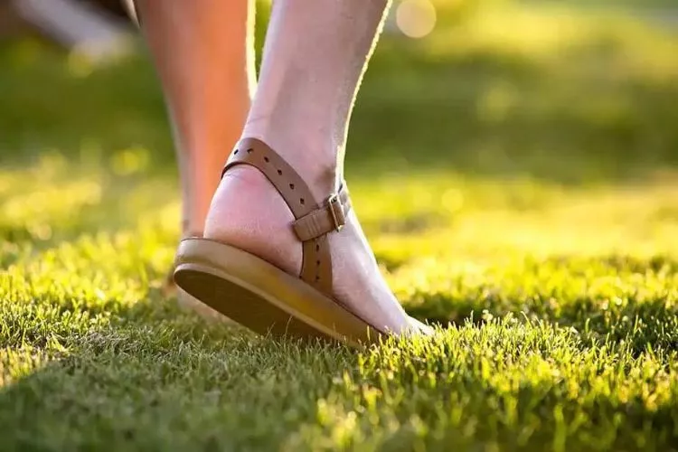 Reasons Why You Should Avoid Walking On Grass Seeds