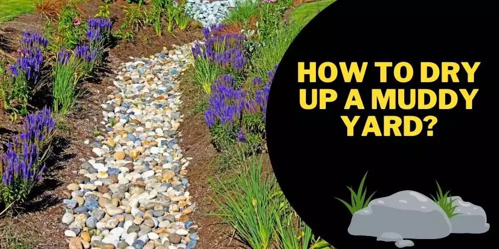 How to dry up a muddy yard