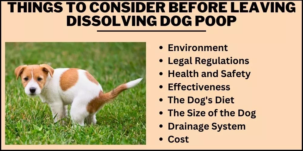 Things to Consider Before Leaving Dissolving Dog Poop
