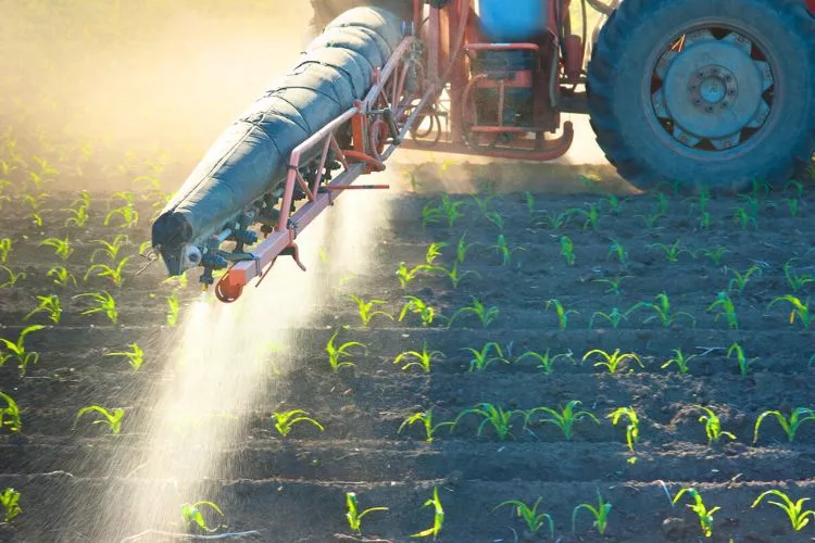 How long does it take for atrazine to work? Everything you should know