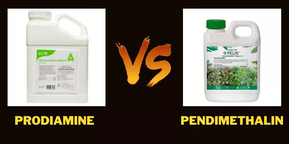 Prodiamine vs Pendimethalin