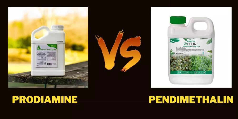 Prodiamine vs Pendimethalin Detailed Comparison