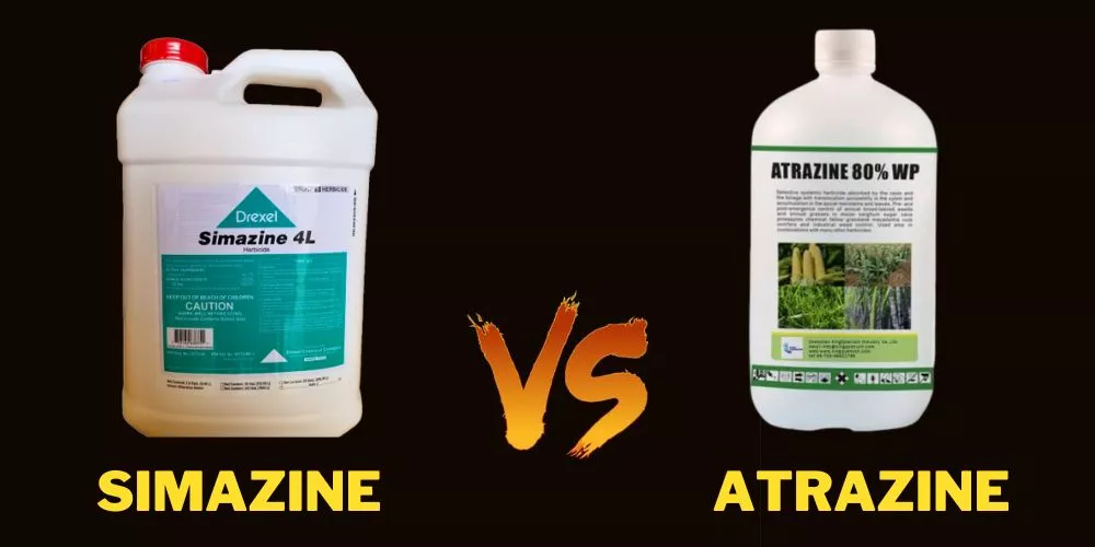 Simazine vs Atrazine