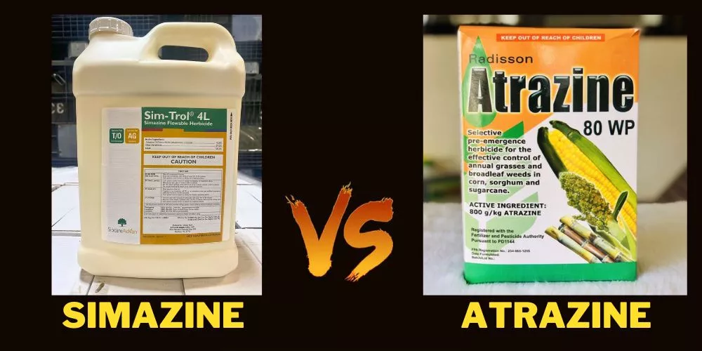 What is the difference between atrazine and simazine?