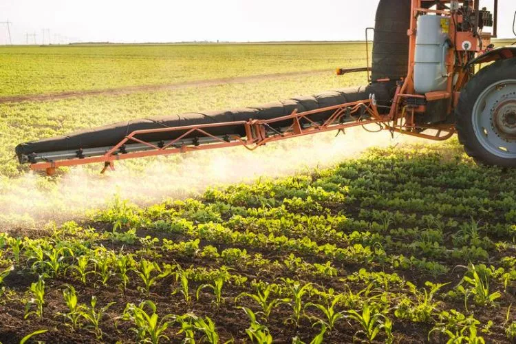 What weeds are controlled by atrazine
