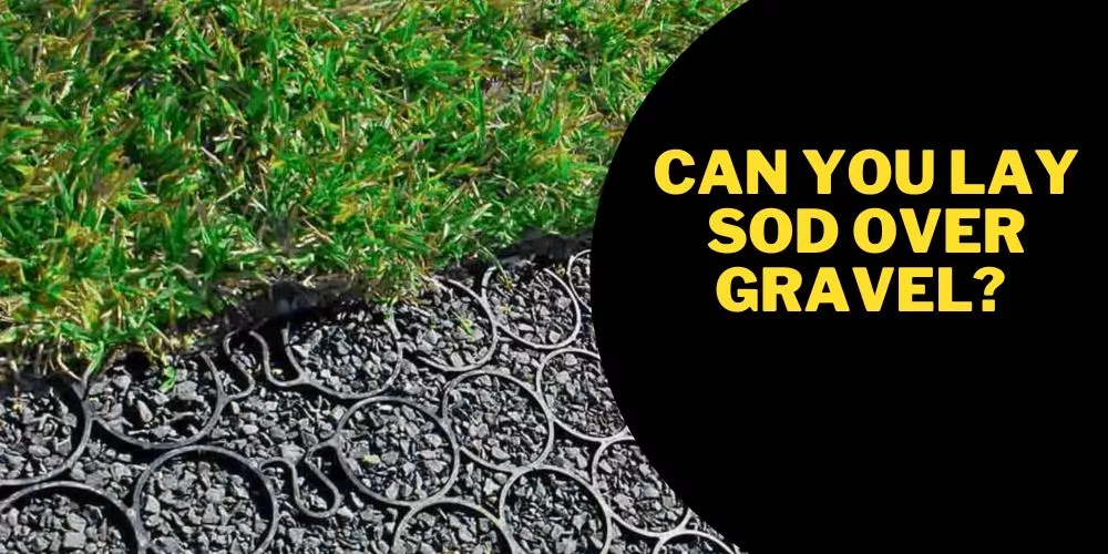 Can you lay sod over gravel