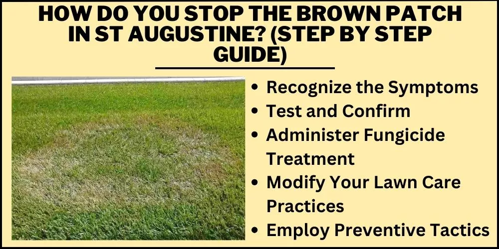 How do you stop the brown patch in St Augustine