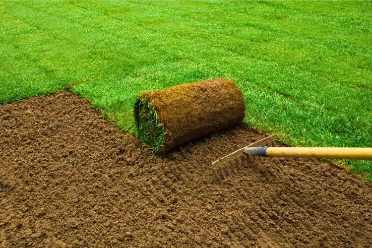 How much topsoil over gravel to grow grass
